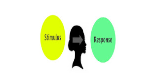 Stimulus respon