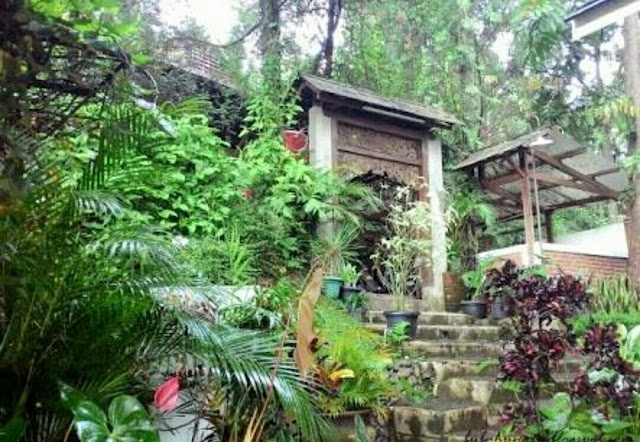 Wisata Kuliner Boemi Joglo Dago Bandung akan kembali merekomendasikan salah satu tempat wisata masakan yang asik untuk anda coba Wisata Kuliner Boemi Joglo Dago Bandung