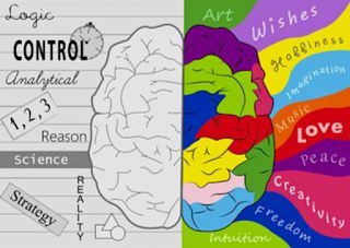 Right brain vs left brain theory and interesting facts about human brain. 
