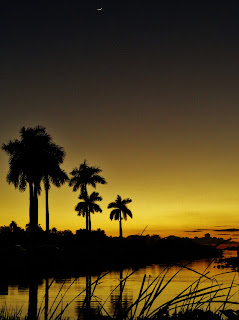 Everglades Florida Sunset