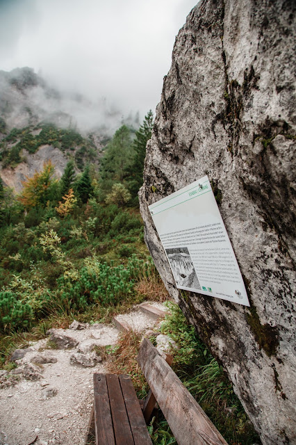 Birnbachloch und Birnbachgletscher 14