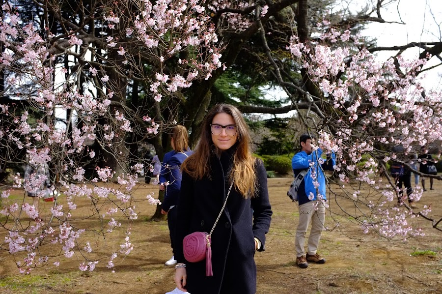 Shinjuku hanami 2017