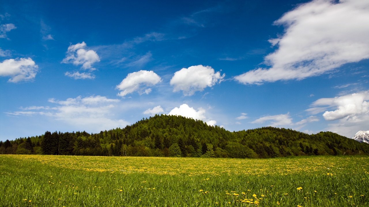 Free Computer Softwares: nature wallpaper post