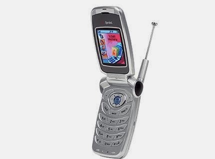 p31.jpg