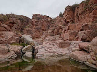 Rezension Dear Summer Plotzlich Warst Du Wieder Da Ruby