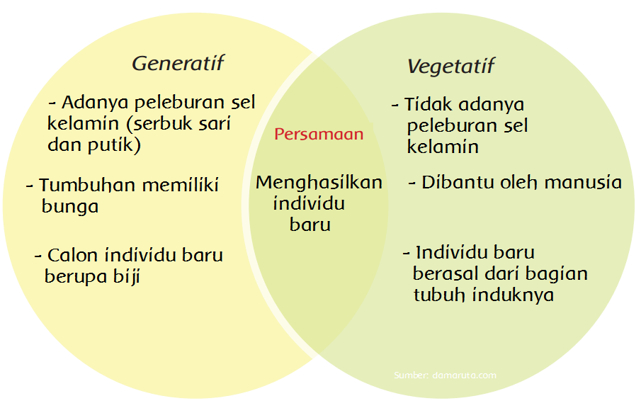 Materi Sekolah | Perkembangbiakan Generatif Dan Vegetatif (Halaman 51