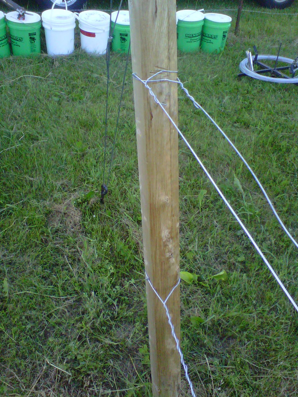 Northern Grapes vineyard trellis