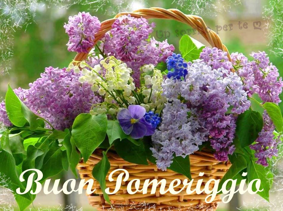 BUONGIORNO FORUM!!!!  Saluti lampo - Pagina 2 Buon-pomeriggio_037