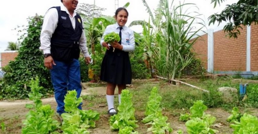 Escolares de Tumbes destacan por el buen uso del agua en sus huertos escolares promovidos por el Midis Qali Warma - www.qaliwarma.gob.pe Escolares de Tumbes destacan por el buen uso del agua en sus huertos escolares promovidos por el Midis Qali Warma - www.qaliwarma.gob.pe