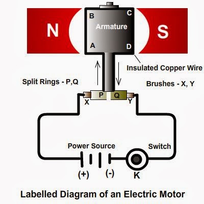 Labelled diagram of an electric motor. Its principle and working