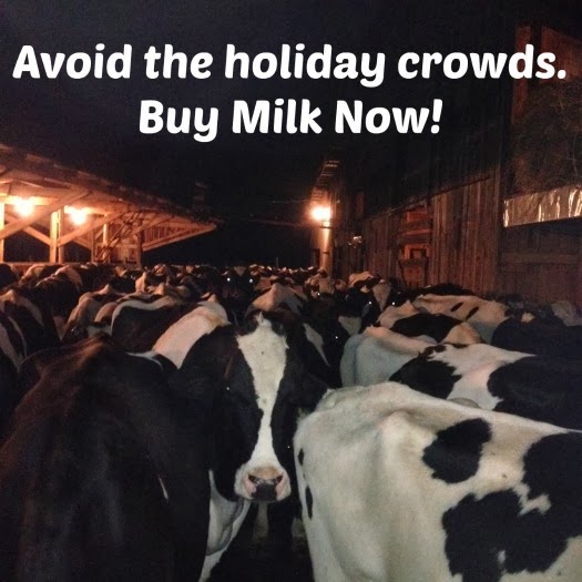 The Udder Side Thank A Dairy Cow