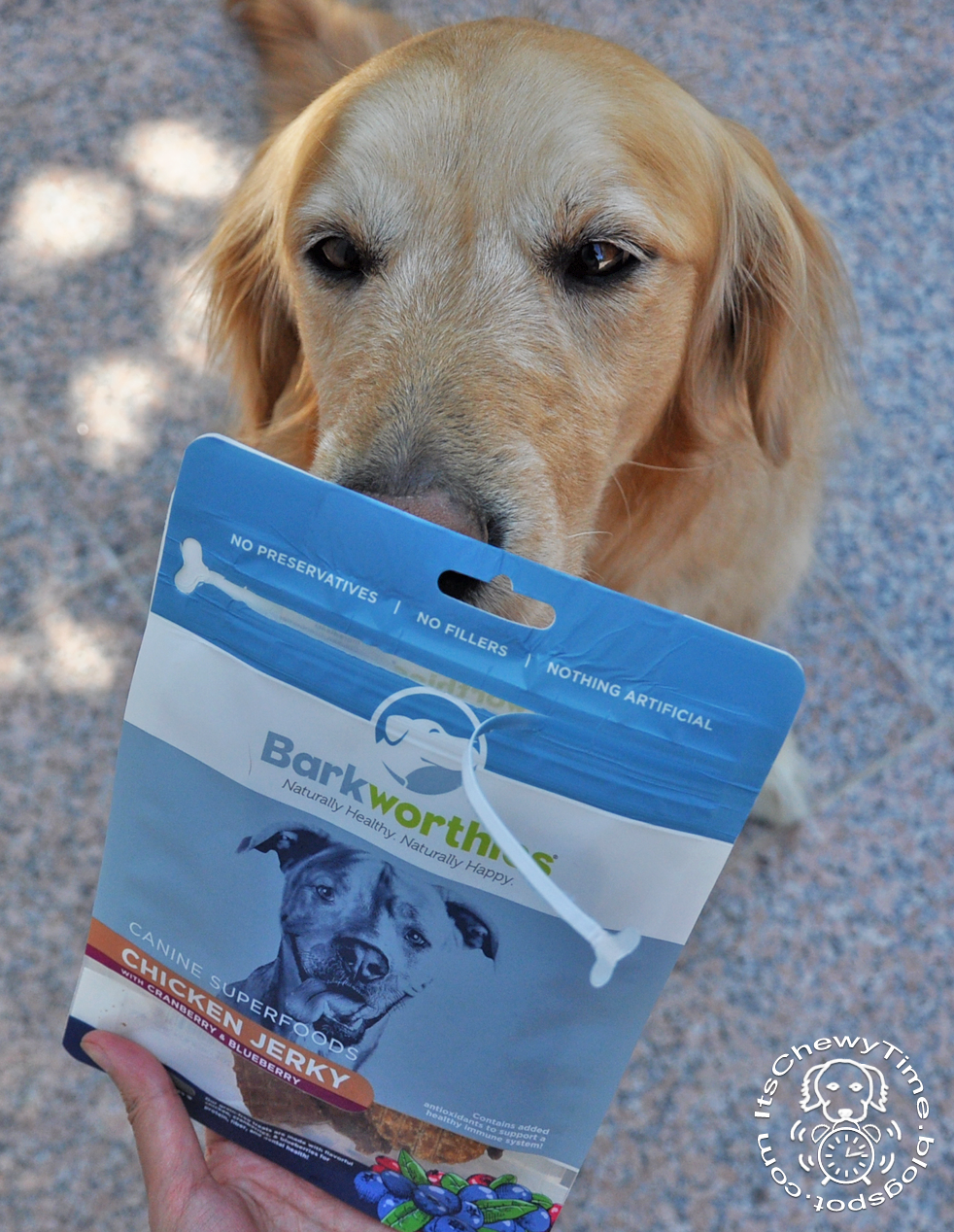 It's Chewy Time! Barkworthies Canine Superfoods Jerky Product Review