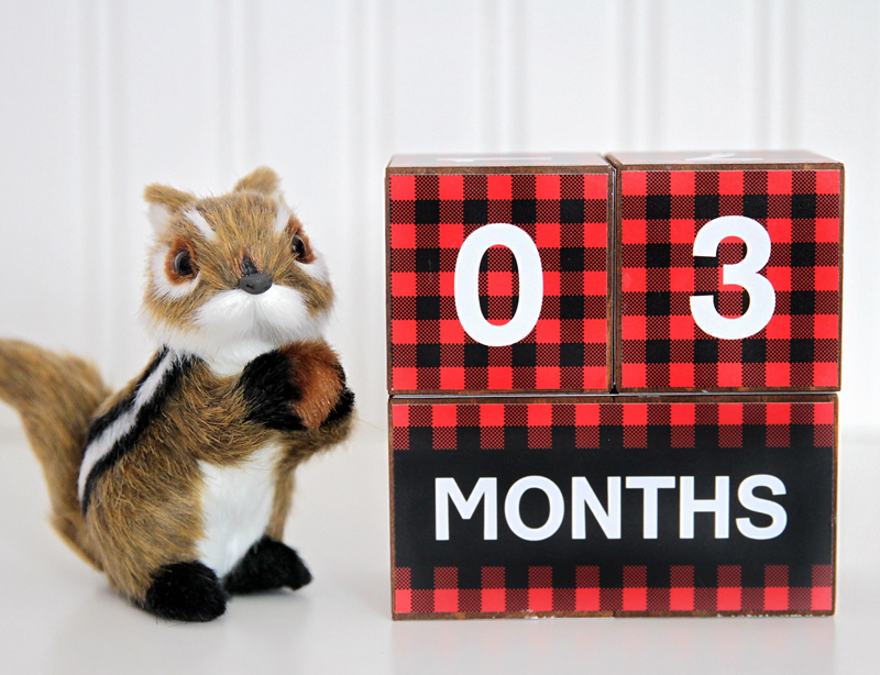 SugarPickle Designs DIY wooden baby age blocks