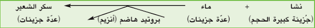 الهضم %25D8%25A7%25D9%2584%25D9%2587%25D8%25B6%25D9%2585