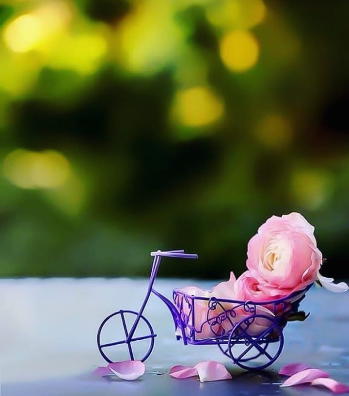 Latest cute Dpz for whatsApp and Facebook profile