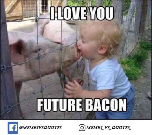 Best I Love You Meme To Express Your Feelings 2020