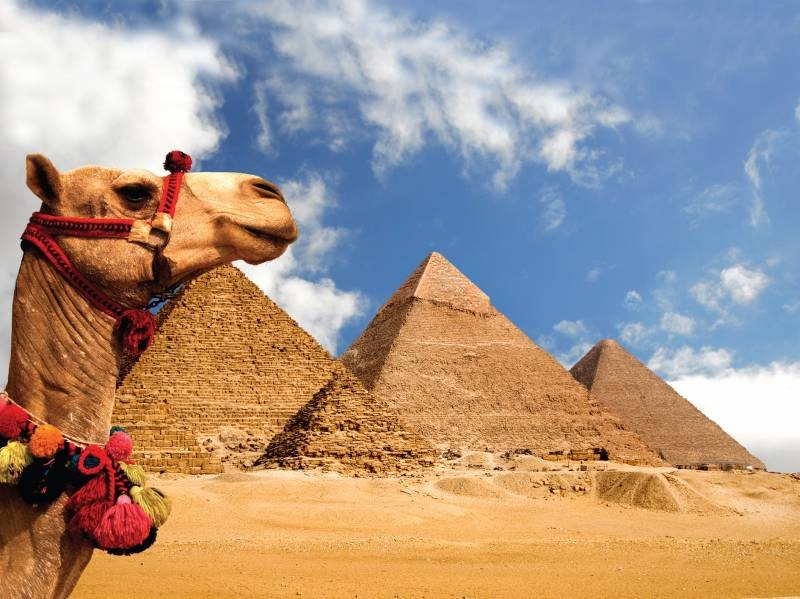 http://www.ask-aladdin.com/Egypt-Travel-Tips/