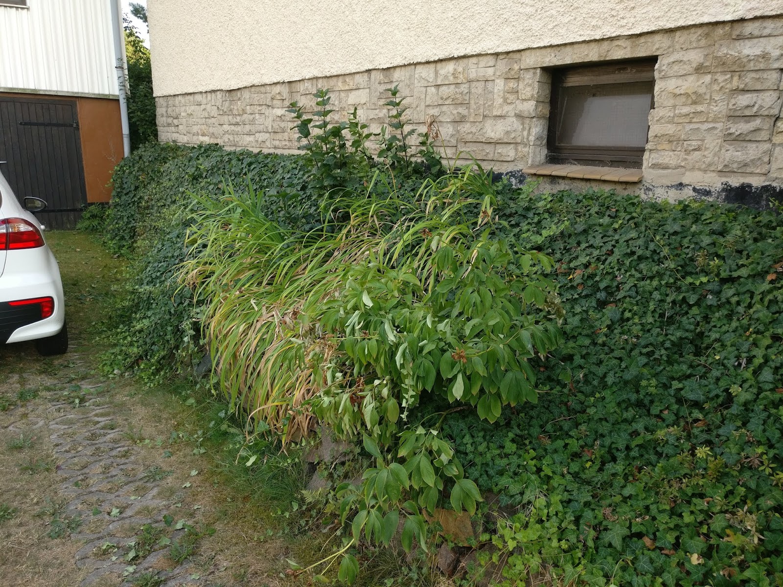 Garten Haus Und Gartenhaus 2018