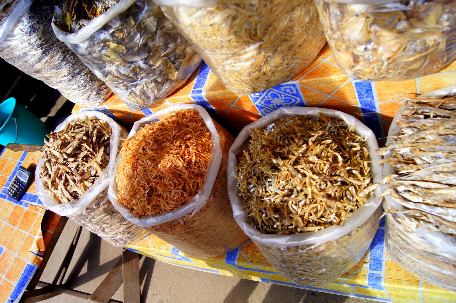 Our Enigmatic World: 