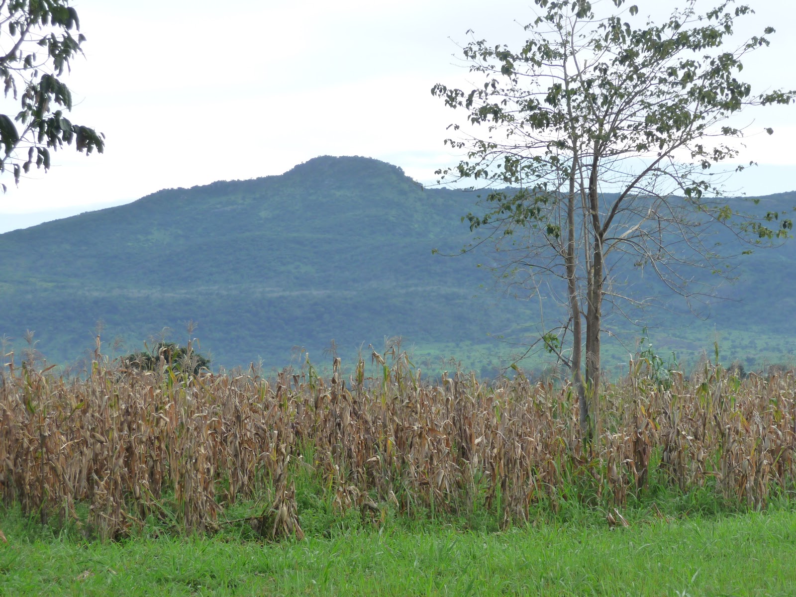 Thompson's Tukul: Adventure in Magwi County
