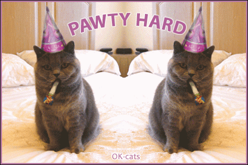 Art Cat GIF with caption • August 8th >> International Cat Day GIF Art Cat GIF with caption • August 8th >> International Cat Day GIF