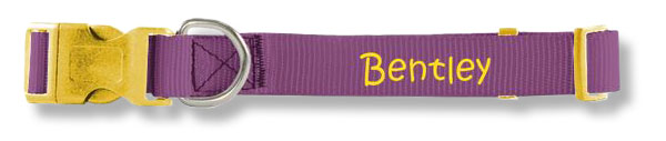 Purple monogrammed collar by PrideBites