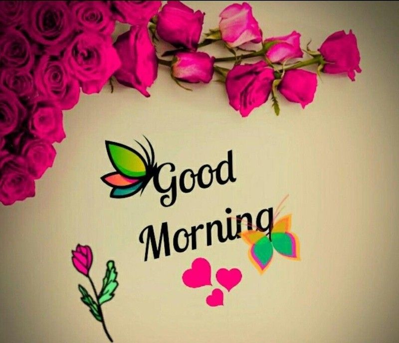 good night cute images