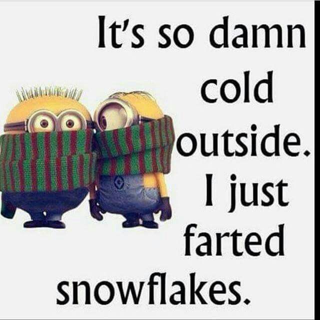 93 Funny Colder than Sayings, Quotes and Memes