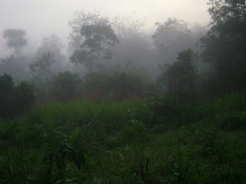 jalan-ke-pantai-seruni