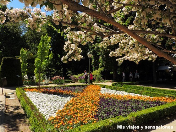 Real Jardín Botánico de Madrid