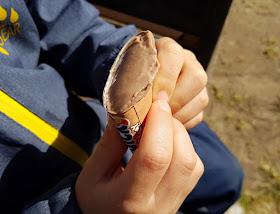 Den Sommer genießen: Leckeres Wassereis aus Dänemark. Eis gehört zum Sommer und zur Kindheit dazu!