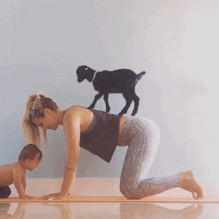 Yoga Animated Gif Images, Pics IMAGES, GIF, ANIMATED GIF, WALLPAPER, STICKER FOR WHATSAPP & FACEBOOK