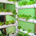 Emater apresenta novas técnicas de cultivo de hortaliças em pequenos espaços na Exposição de Paragominas