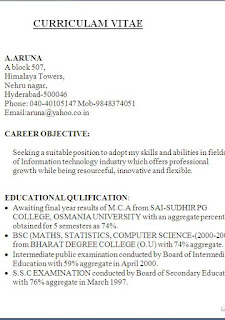 web development resume