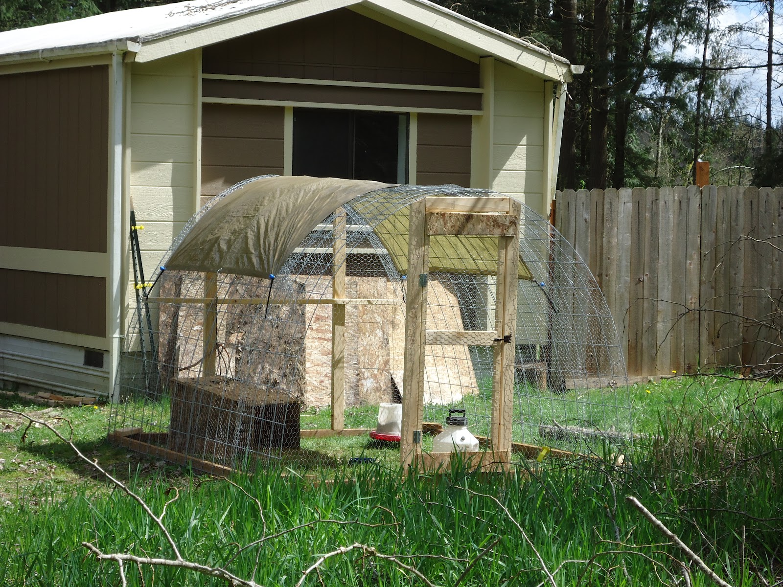 Just Chickens... Easy & Affordable Chicken Pen