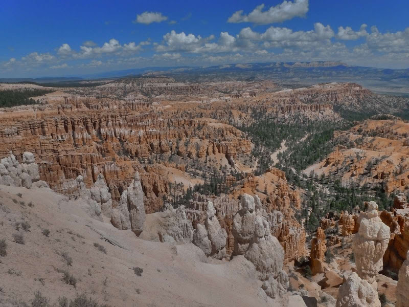 13: Bryce Canyon - Driving me ... USA (25)