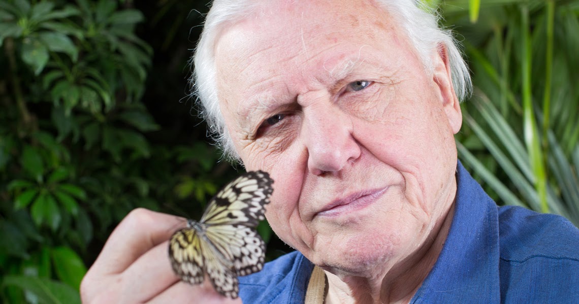 THE GRANDMA'S LOGBOOK DAVID FREDERICK ATTENBOROUGH, THE VOICE OF