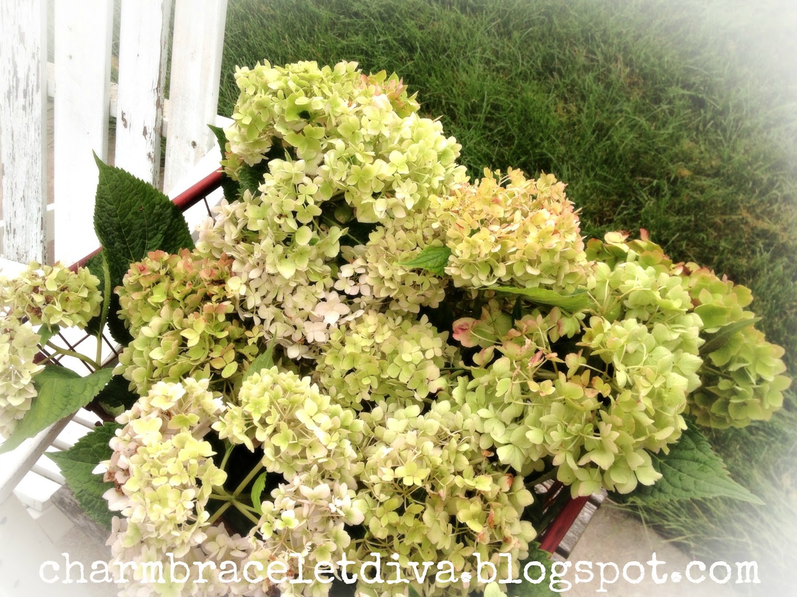 Hydrangeas With Sunflowers And Fiddlehead Ferns Big Fan Yellow