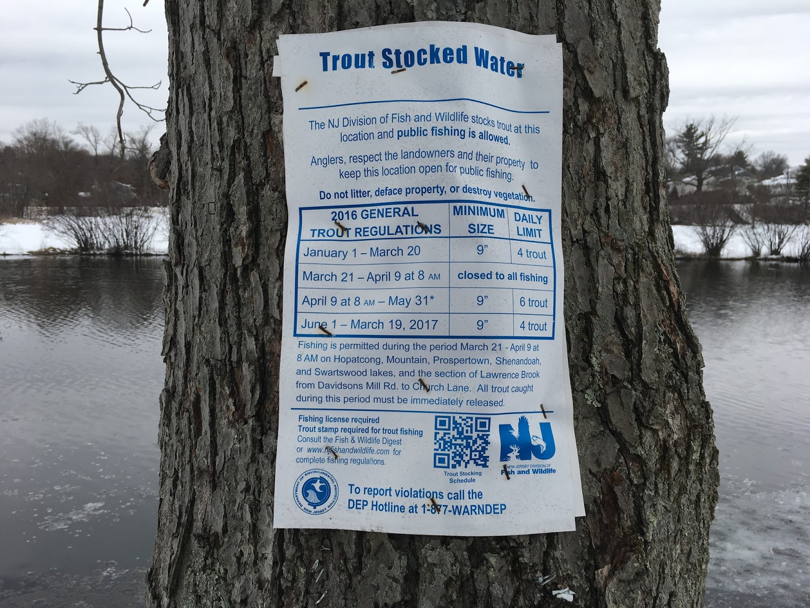 Endangered New Jersey Trout Season Opening Day April 7