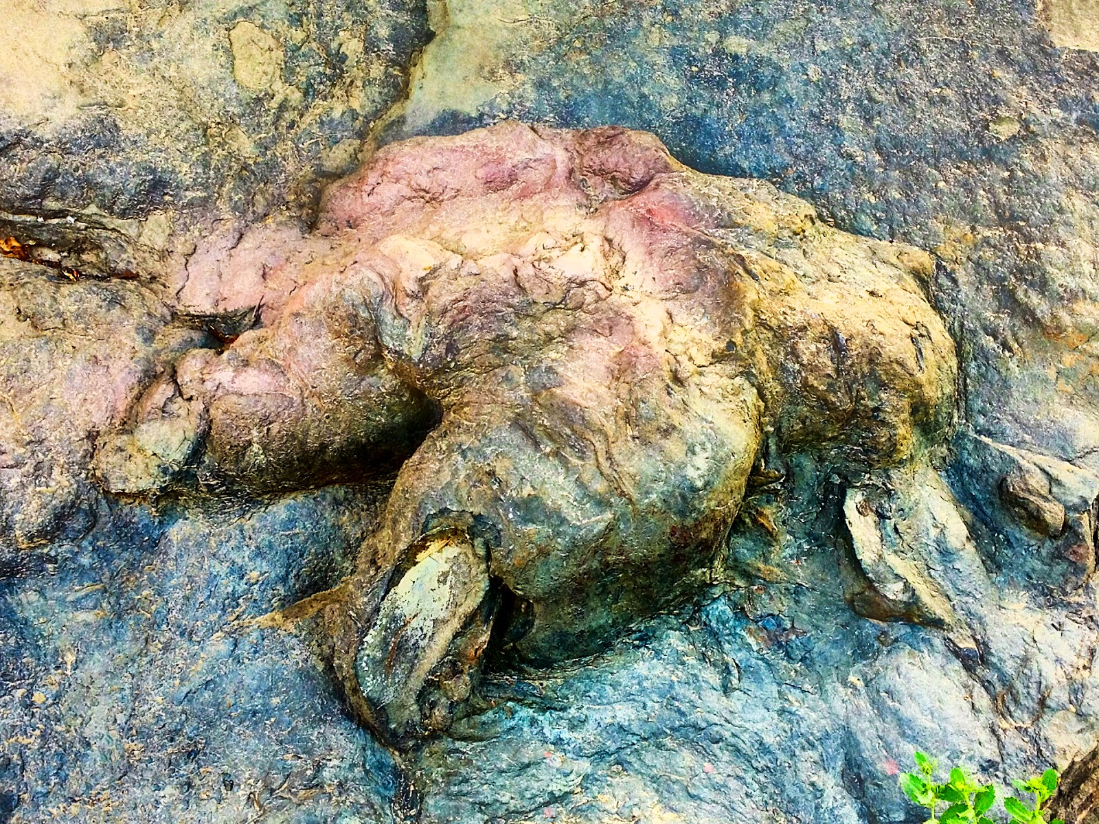 HalScott Photo New Mexico