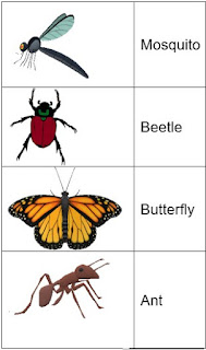 10 lines about insects image