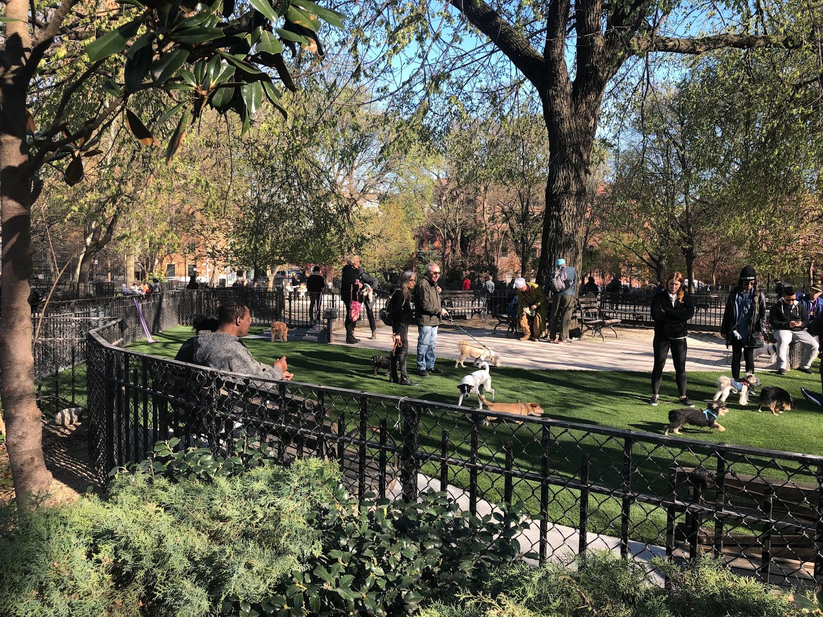 Ev Grieve Renovated Small Dog Run Reopens In Tompkins Square Park