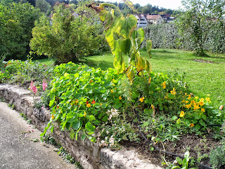 Sonnenbeet vor Garageneinfahrt (c) by Joachim Wenk Sonnenbeet vor Garageneinfahrt (c) by Joachim Wenk