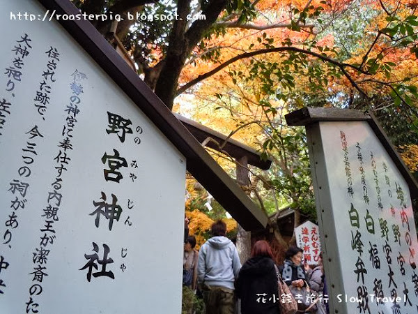 野宮神社+竹林之道賞楓去