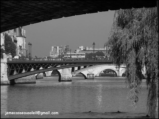 Plongeurs à Paris