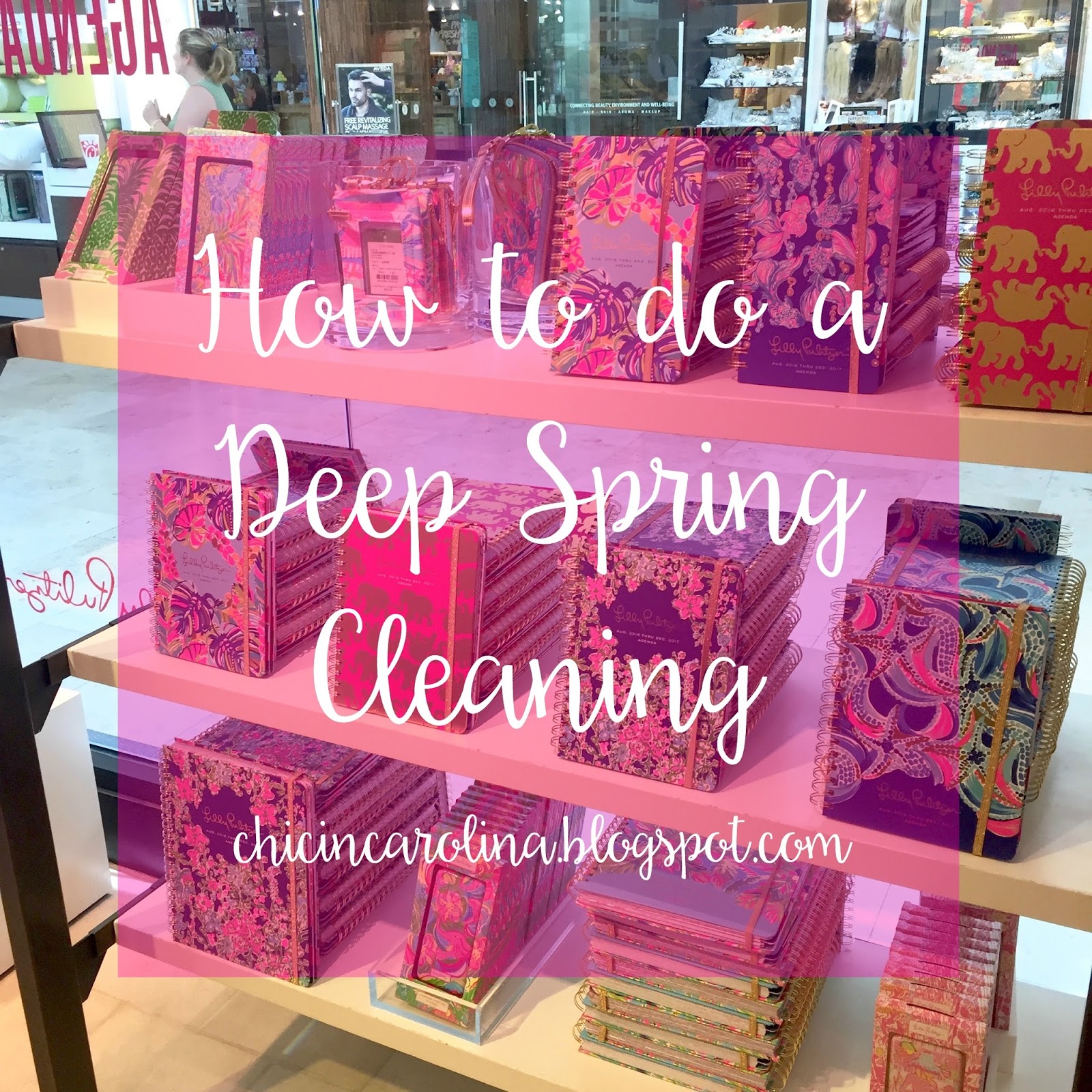 Chic in Carolina How to do a Deep Spring Cleaning