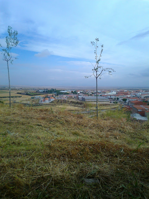 FLORESTREMADURA: bio de un jardinero