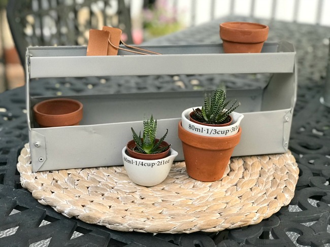 Create a Little Garden Tote from a Toolbox