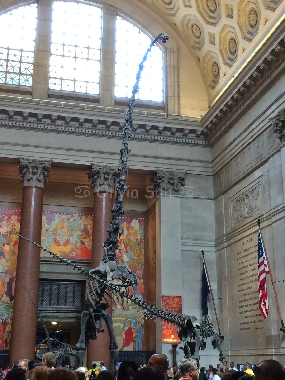 american museum of natural history, new york city, usa