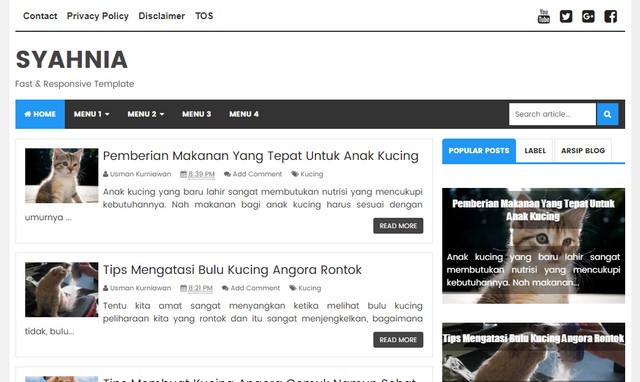 Syahnia Responsive Blogger Templates Syahnia Responsive Blogger Templates